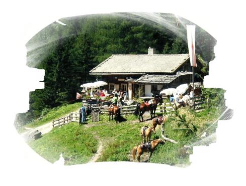 Alm - Hütte in Luttach im Ahrntal / Südtirol